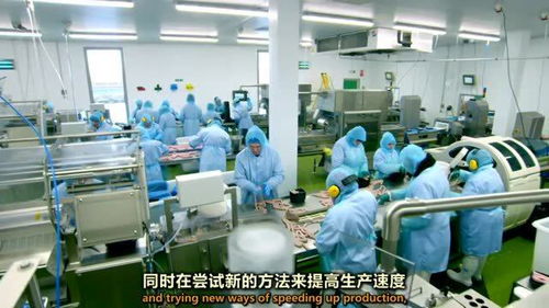 香肠工厂新技术过渡 机遇与挑战并存
